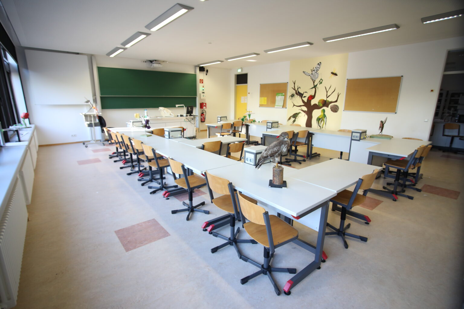 Einer unserer vier Biologie-Fachräume