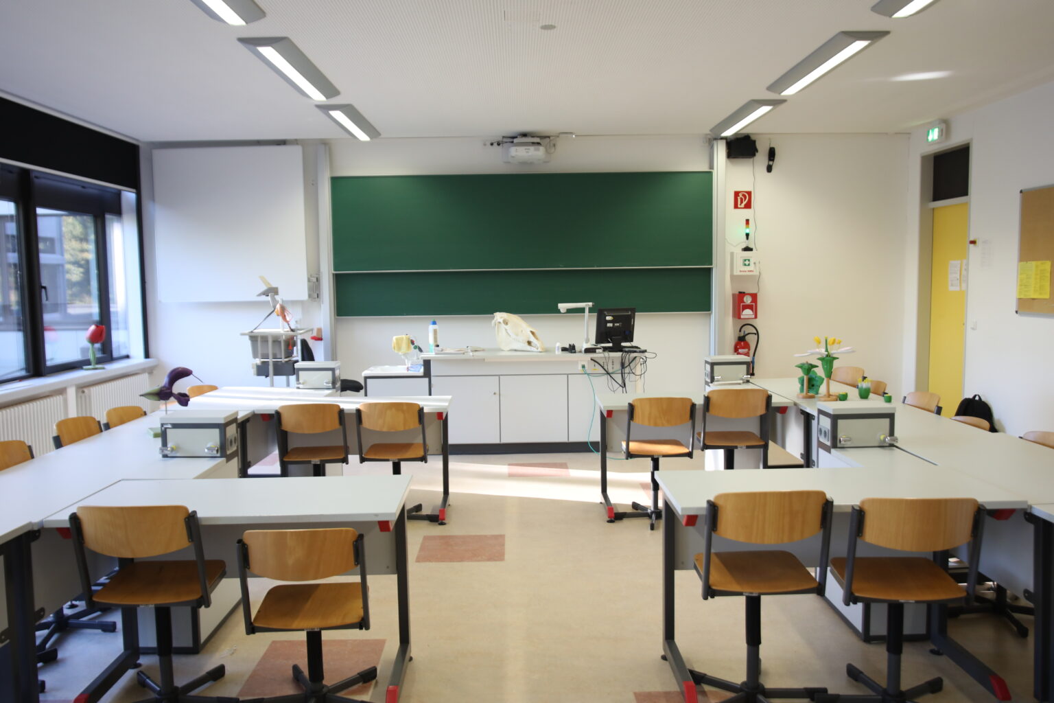 Blick zur Tafel bzw. zur Projektionsfläche in einem Bio-Raum