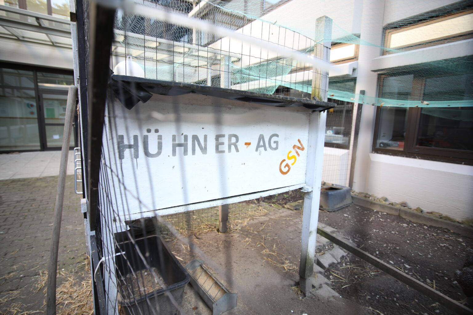 Die Hühner-AG