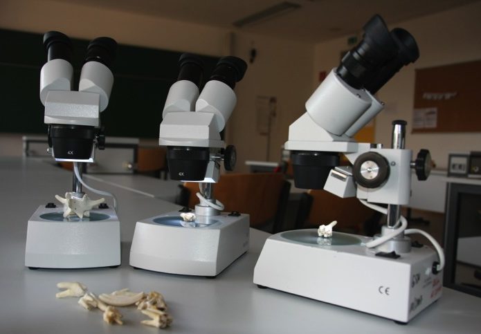 Biologie - Mikroskope